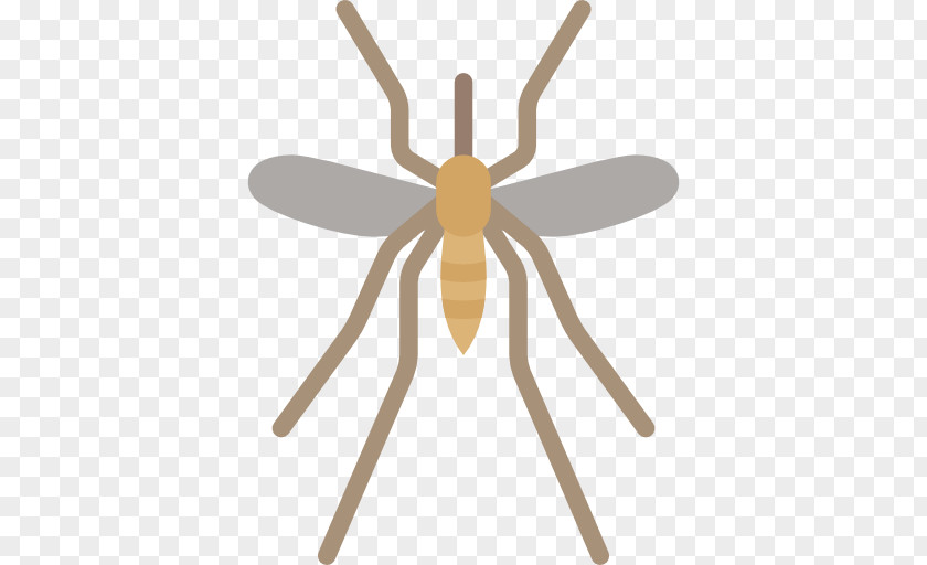 Insect Mosquito Clip Art PNG