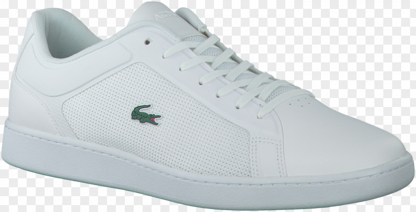 T-shirt Sneakers Skate Shoe Lacoste PNG