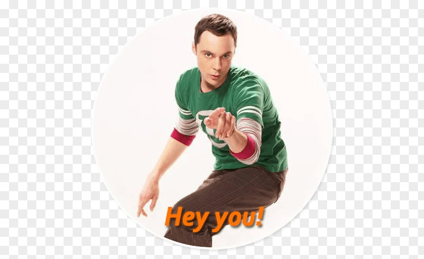 The Big Bang Theory Sheldon Cooper Jim Parsons Friendship Algorithm Television Show PNG