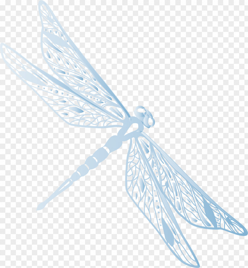 Vector Painted Dragonfly Euclidean PNG