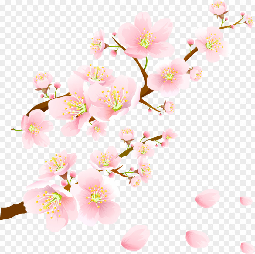 Cherry Blossom Wedding Invitation Paper Wallpaper PNG
