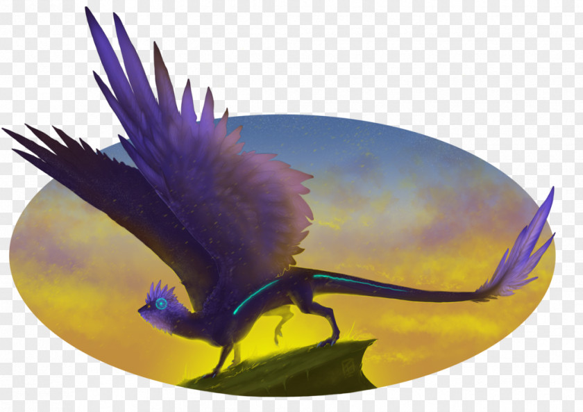 Feather Beak Desktop Wallpaper Computer PNG