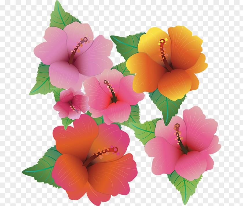 Flower Hawaiian Hibiscus Clip Art PNG