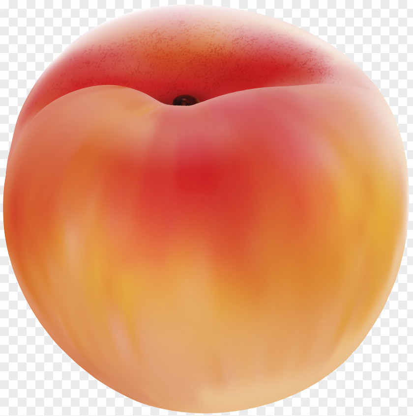 Peach Clip Art Image Fruit PNG