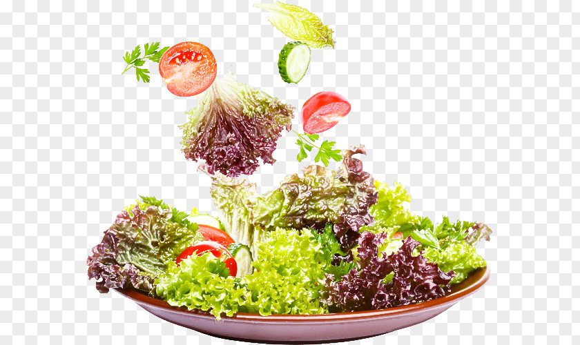 Salad PNG