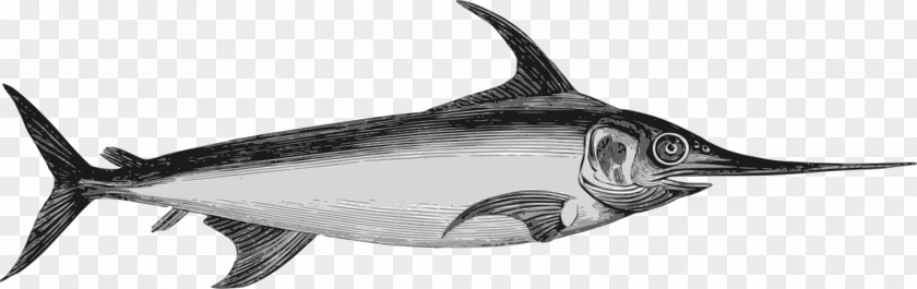 Swordfish Marlin Clip Art PNG