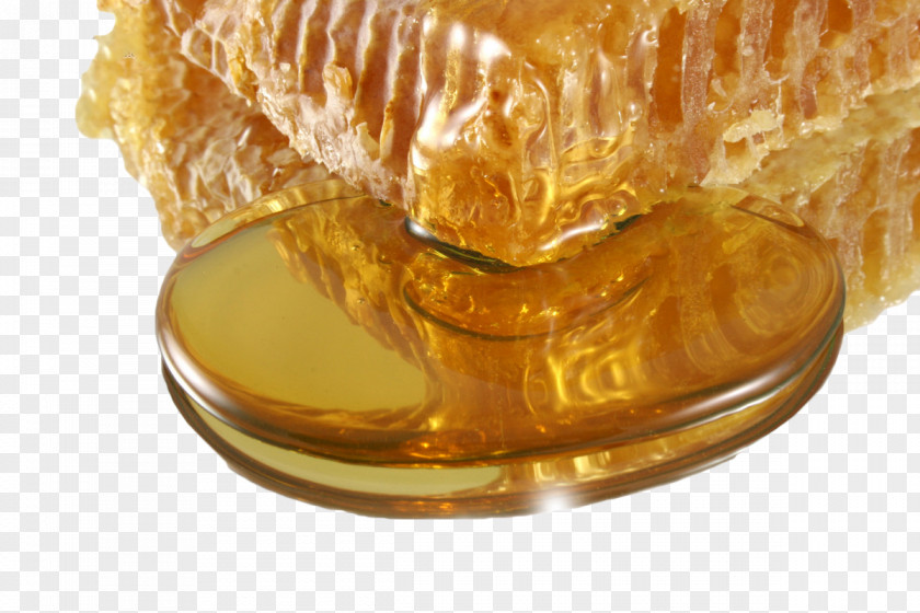 Yellow Honey Bee Mu0101nuka Manuka PNG
