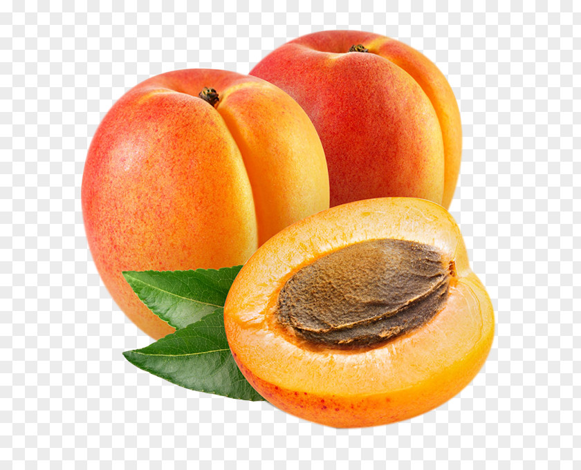 Apricots Apricot PNG