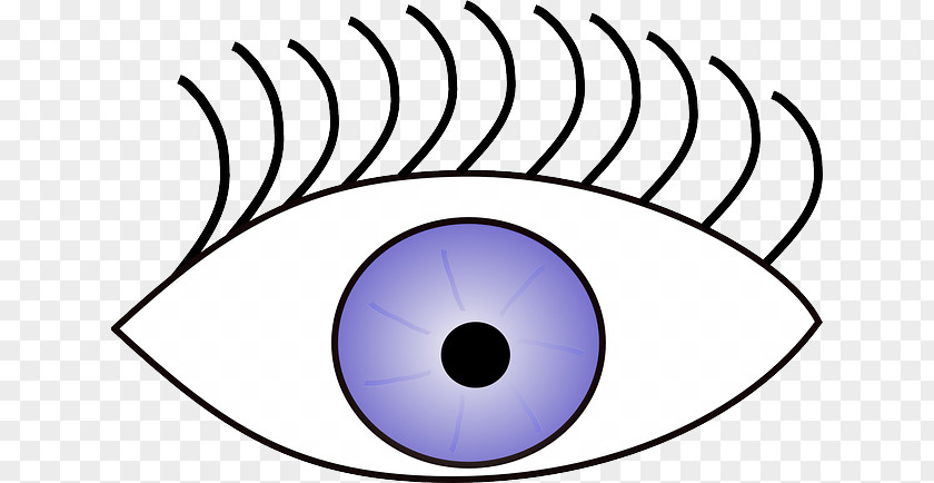 Human Eye Googly Eyes Clip Art PNG