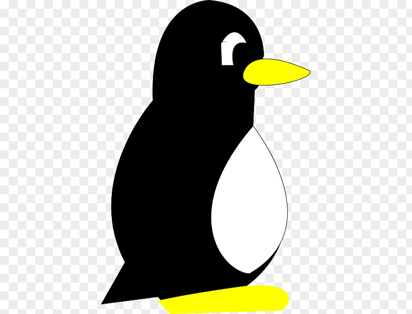 Penguin Chick Bird The Clip Art PNG