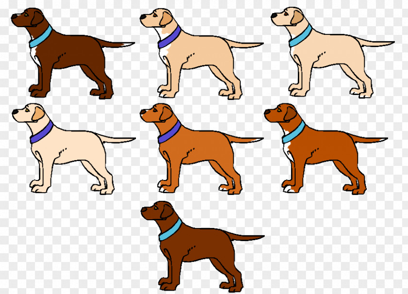 Puppy Vizsla Dog Breed Companion Sporting Group PNG