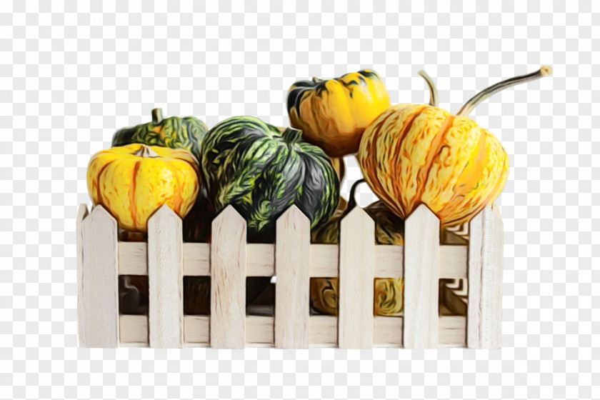 Squash Winter Gourd Vegetable 0jc PNG