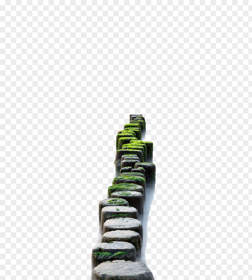 Vector Ladder Stone Road PNG