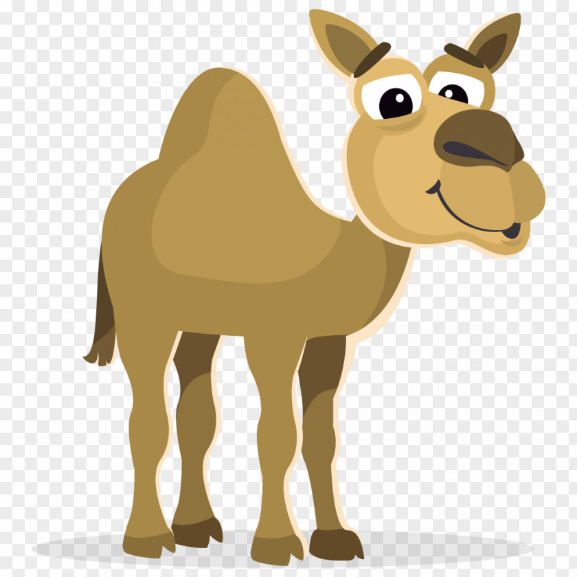 Bactrian Camel Royalty-free Clip Art PNG