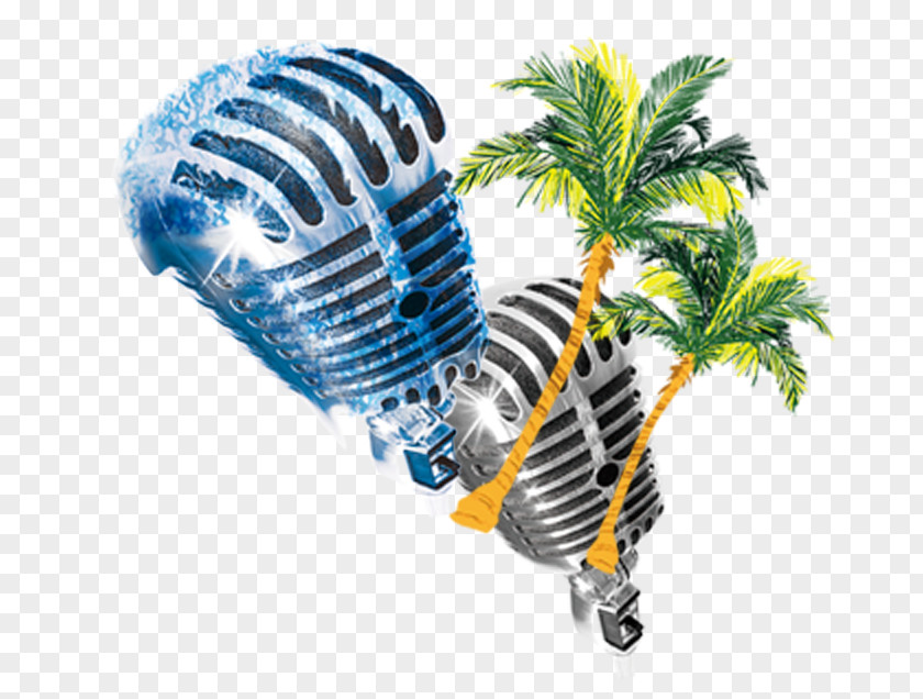 Coconut Tree Sound Microphone PNG