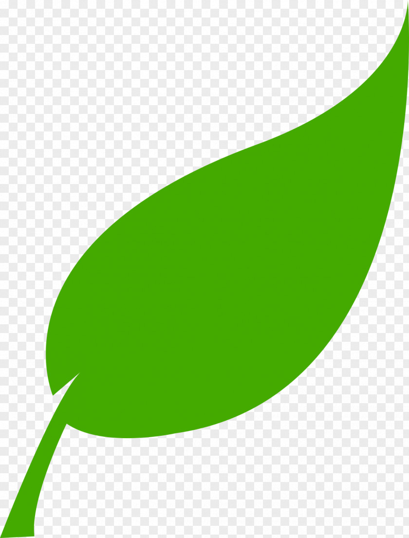 Cranberry Lingonberry Renewable Energy Solar Leaf Resource PNG