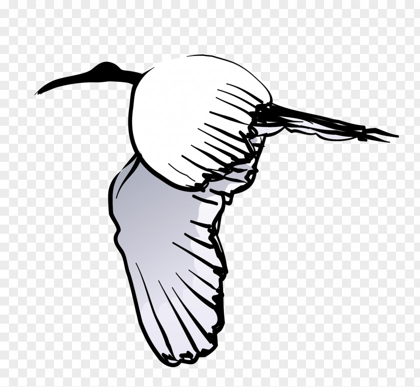 Crane Fly Vector Material Bird Swan Goose PNG