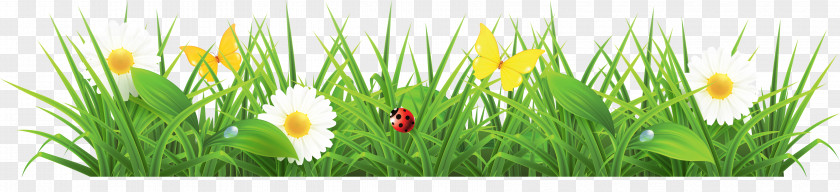 Grass Ground With Flowers Clipart Picture Euclidean Vector Spring Pixabay PNG