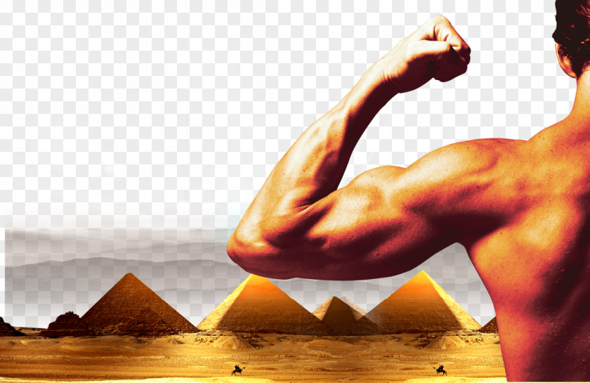 Pyramid Background People Muscle Management Business Industry PNG