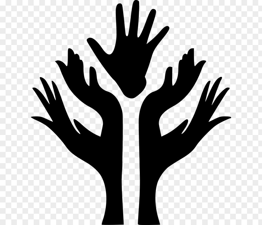 Tree Hand PNG