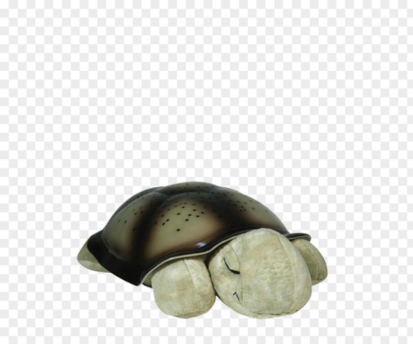 Turtle Nightlight Amazon.com Constellation PNG