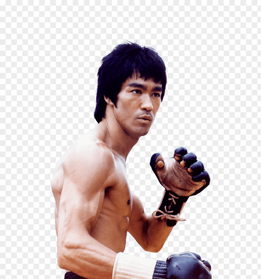 Bruce Lee Picture Clip Art PNG