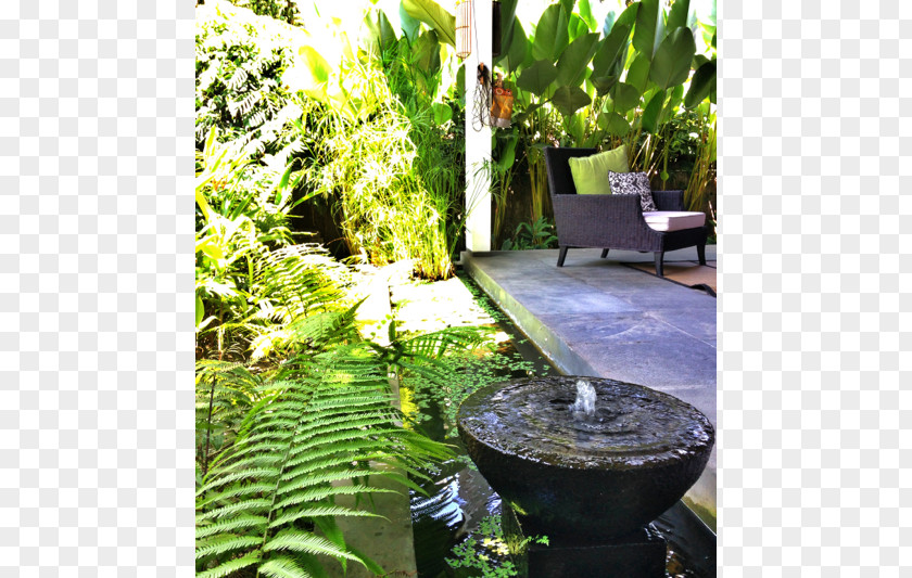 Indonesia Bali Backyard Water Feature Tree Lawn PNG