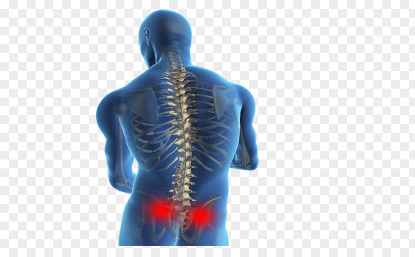 Pain Management Low Back Human Therapy Vertebral Column PNG