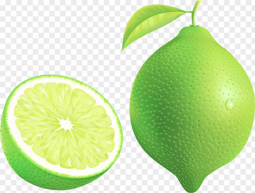 Persian Lime Fruit Citrus Green Lemon PNG