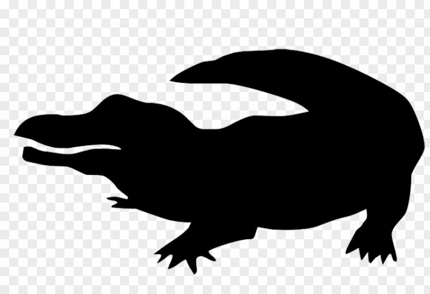 Tail Blackandwhite Alligator Cartoon PNG
