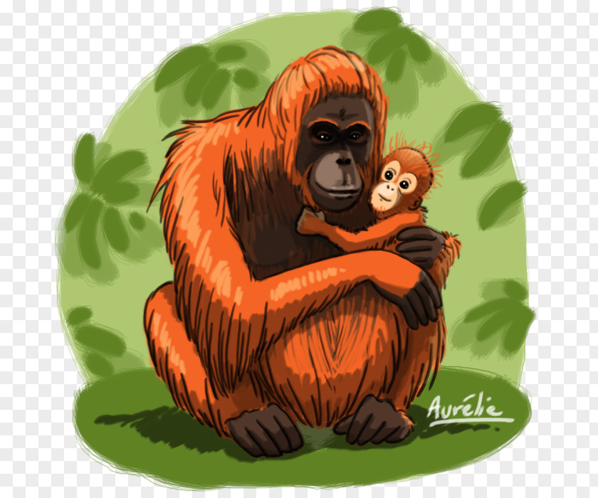 Gorilla Common Chimpanzee Orangutan Cartoon PNG