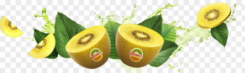 Kiwi Fruit Kiwifruit Zespri International Limited Banana PNG