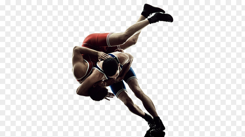 Wrestling PNG clipart PNG