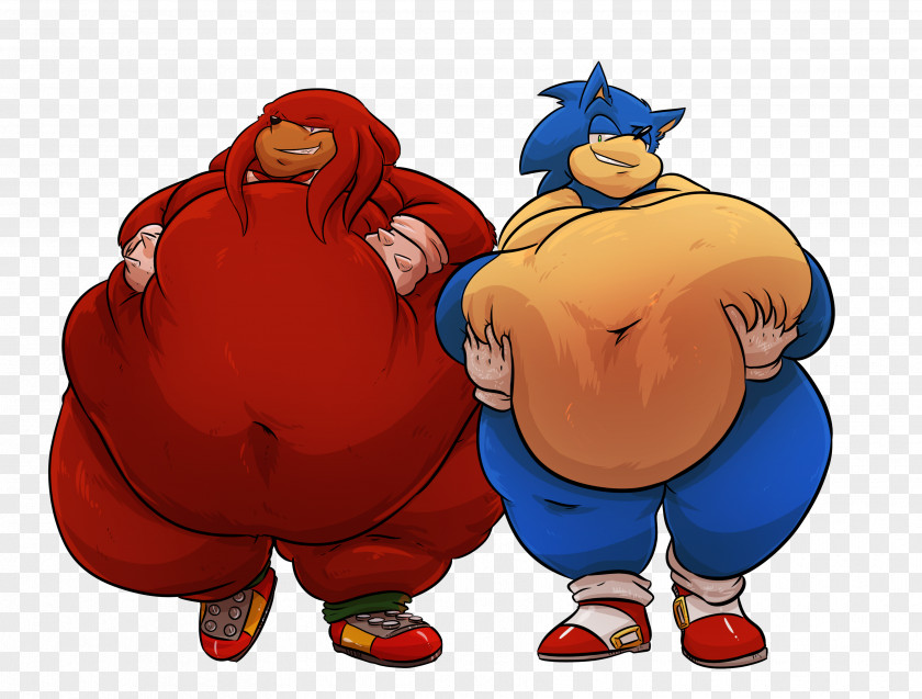 Fat Sonic & Knuckles The Hedgehog Echidna PNG