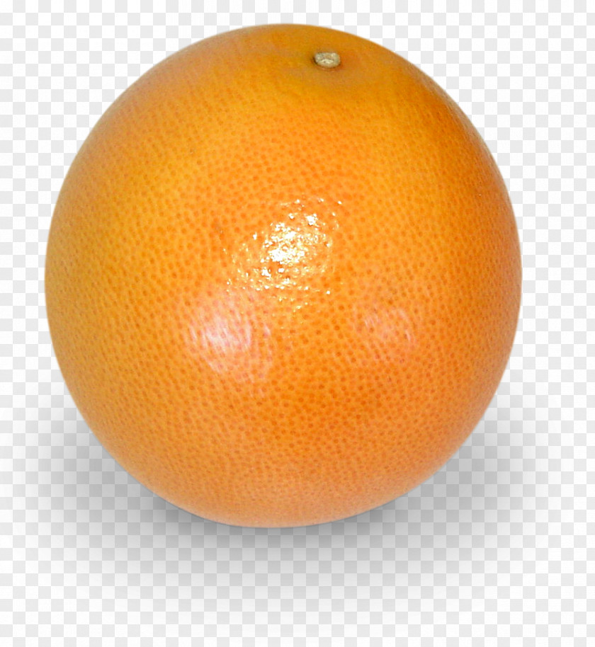 Grapefruit Clementine Mandarin Orange Tangerine Tangelo PNG