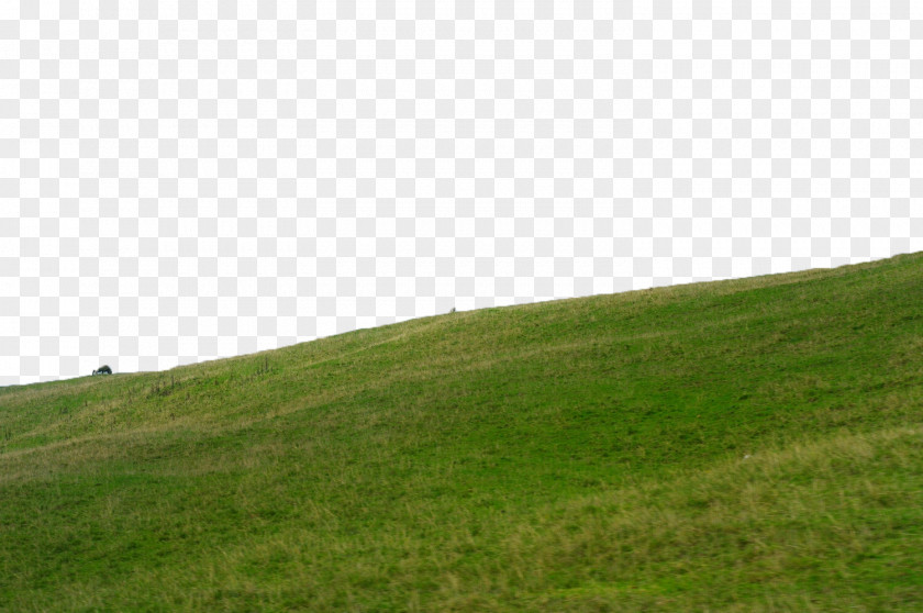 Grass On The Slope PNG