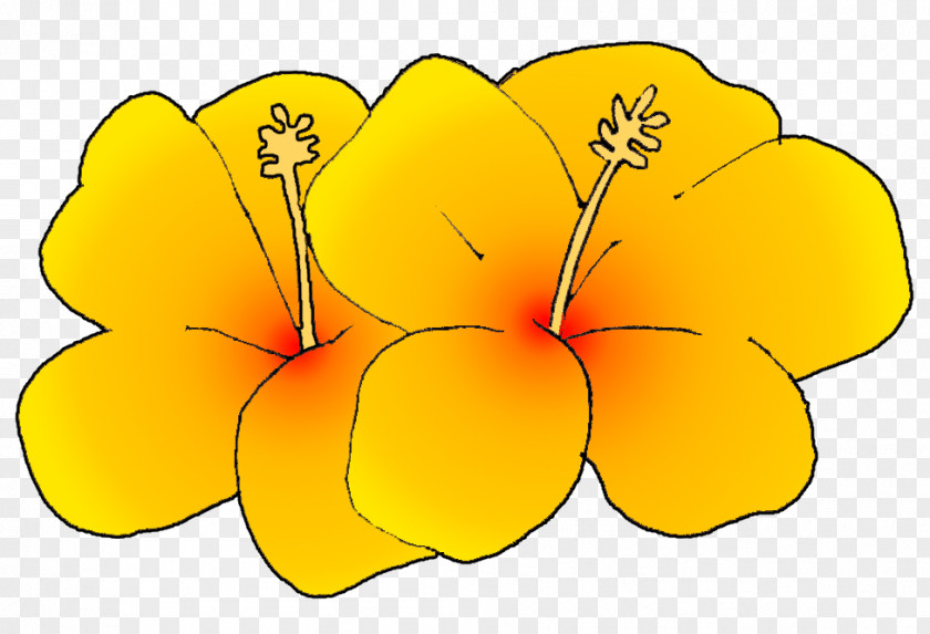 Hibiscus Flower Art Yellow Royalty-free Clip PNG