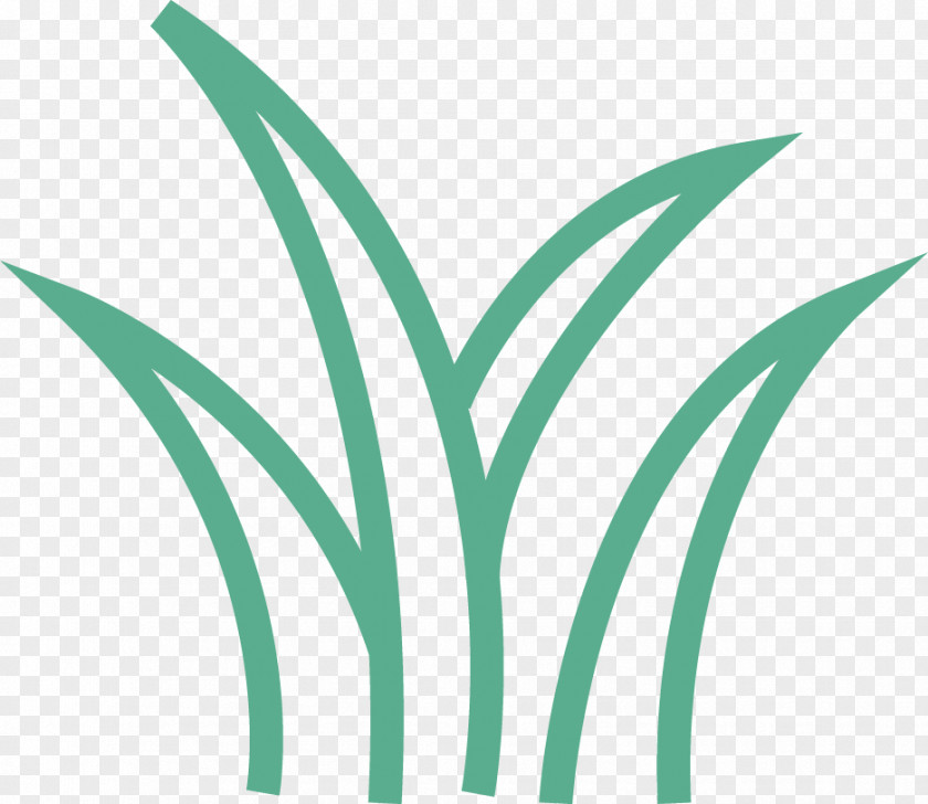 Leaf Logo Font Clip Art Plant Stem PNG