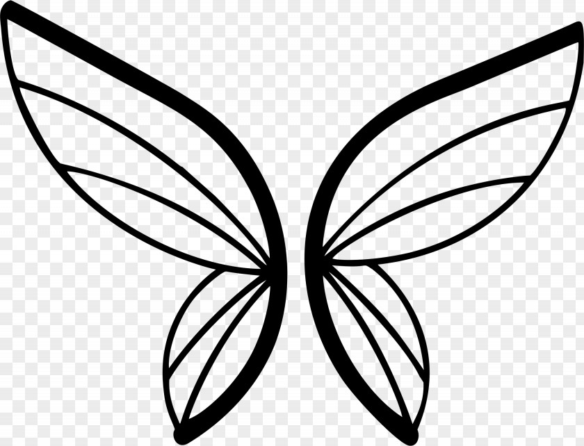 Butterfly Drawing Silhouette PNG