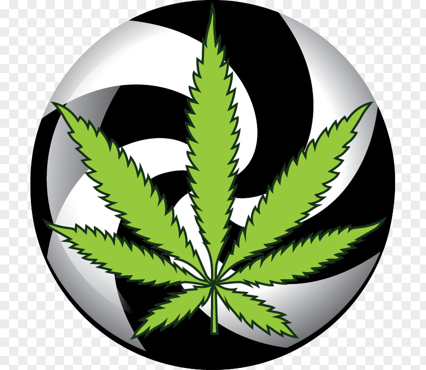 Cannabis Medical Kush Logo Shop PNG