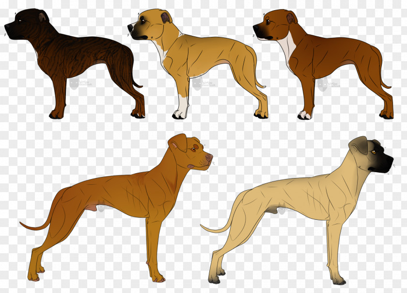 Customs Dog Breed Artist DeviantArt Work Of Art PNG