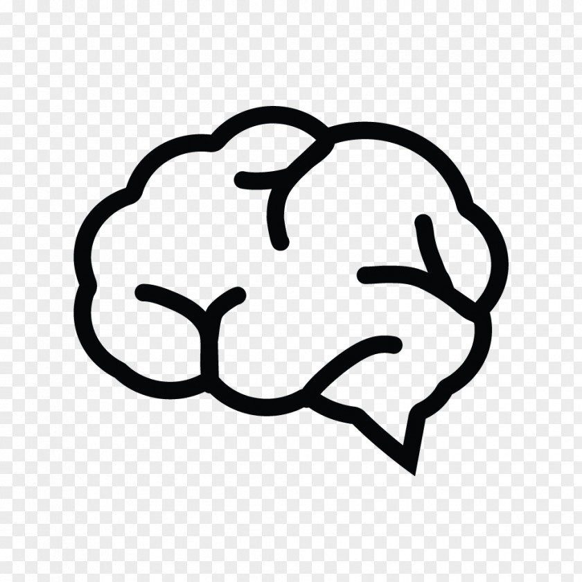 Download Vectors Brain Icon Free Human Design PNG