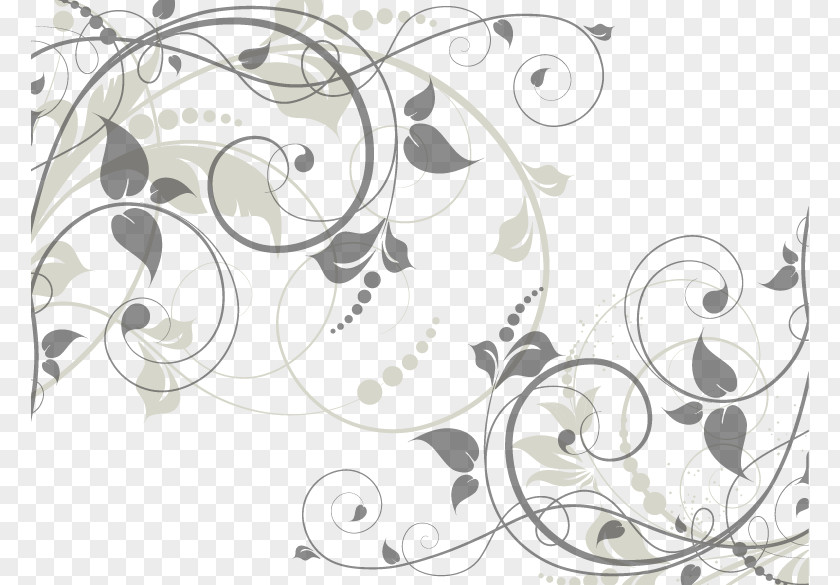 Floral Illustration Vector Material Euclidean Drawing PNG