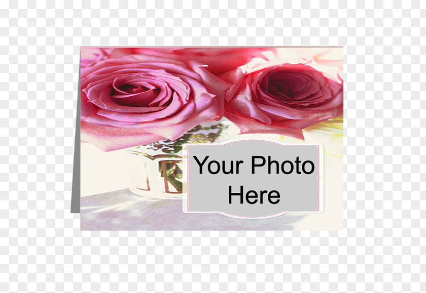 Flower Garden Roses Cut Flowers Printing Floral Design PNG