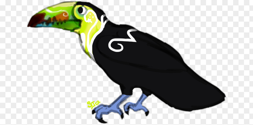 Parrot Toucan Beak Vulture Clip Art PNG