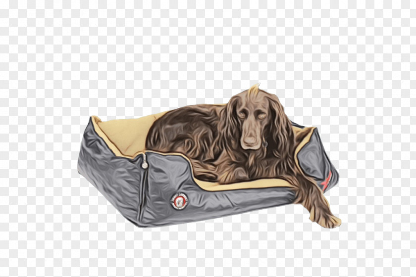 Spaniel Companion Dog And Cat PNG
