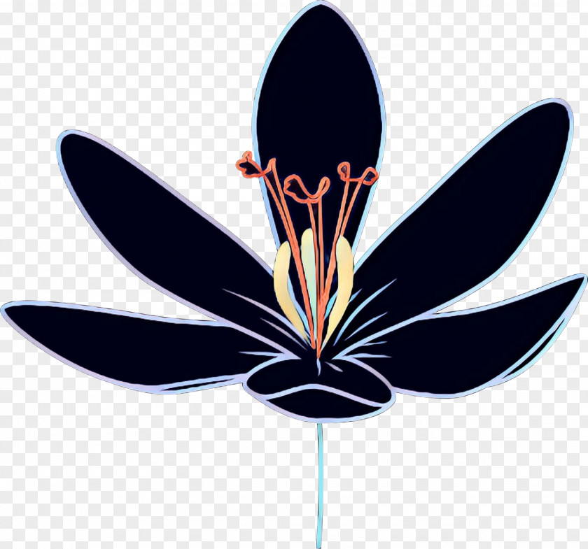 Wing Plant Saffron Flower PNG