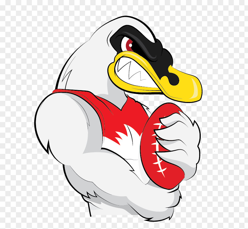Fairytale 2017 Sydney Swans Season Western Bulldogs AFL Duck PNG