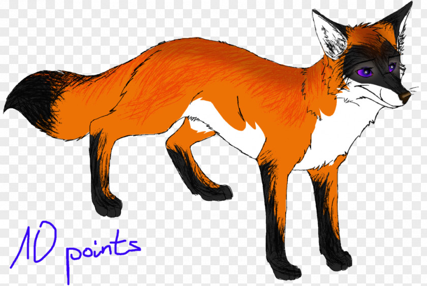 Fox Red Whiskers Fur Fauna Snout PNG