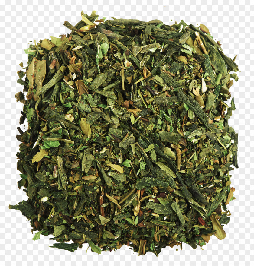 Green Tea Pu'er Teaware Plant PNG